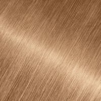 Close-up swatch of Garnier Olia