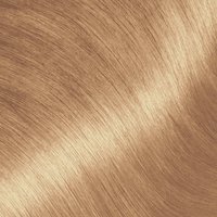 Close-up swatch of Garnier Olia