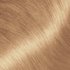 Close-up swatch of Garnier Olia