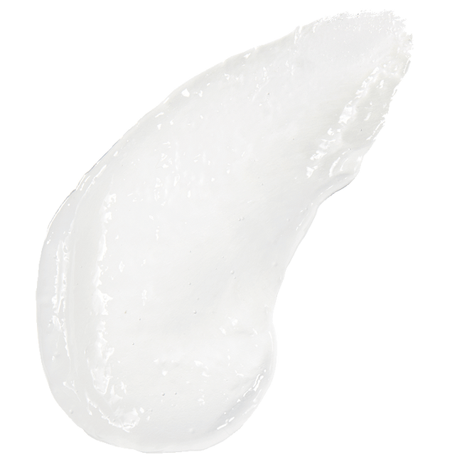 Water Rose 24hr Moisture Cream Garnier SkinActive Garnier