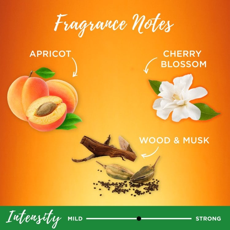 Fragrance notes of Apricot, Cherry Blossom, Wood & Musk