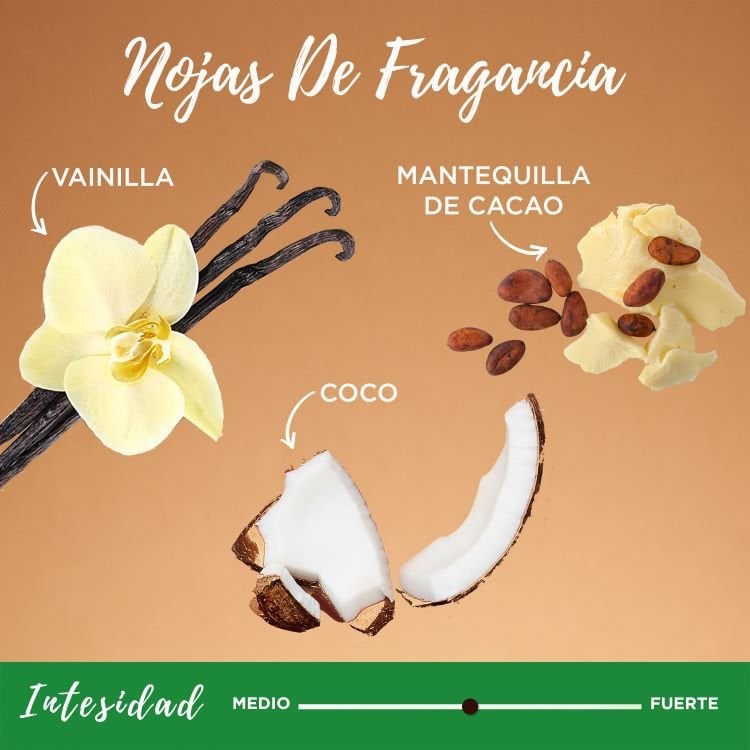 Coco Cocoa shampoo fragrance notes