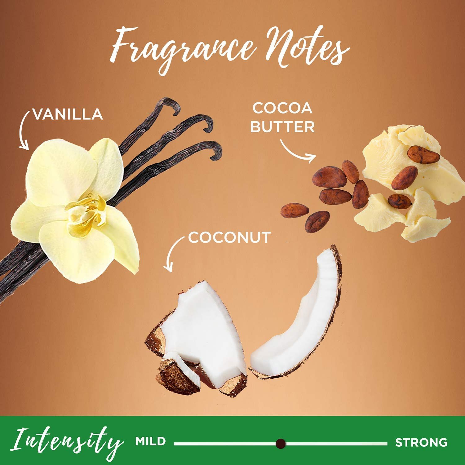 Coco Cocoa shampoo fragrance notes