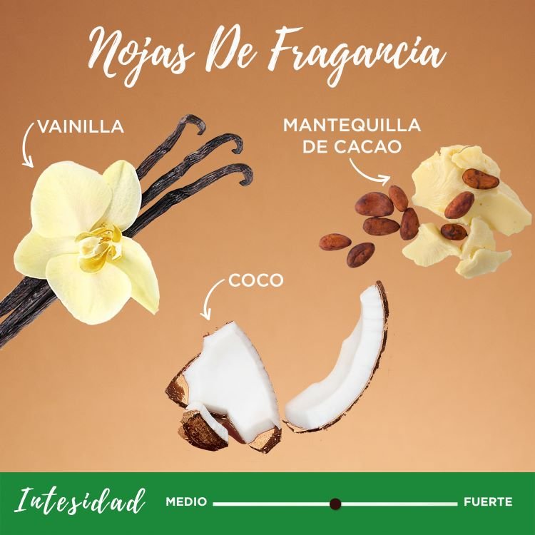 Coco Cocoa smoothing oil fragrance notes