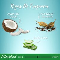 Fragrance notes of coconut water, white musk, and aloe vera