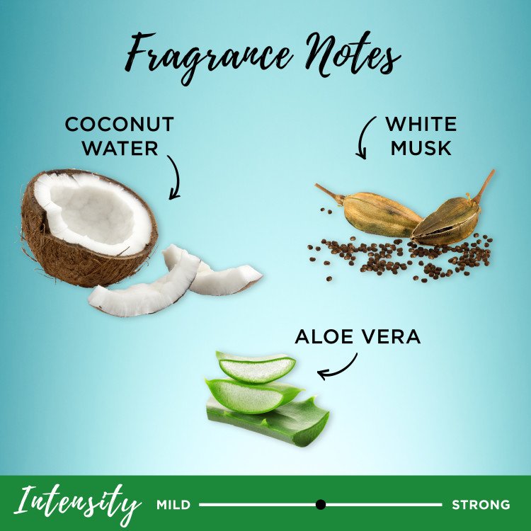 Fragrance notes of coconut water, white musk, and aloe vera