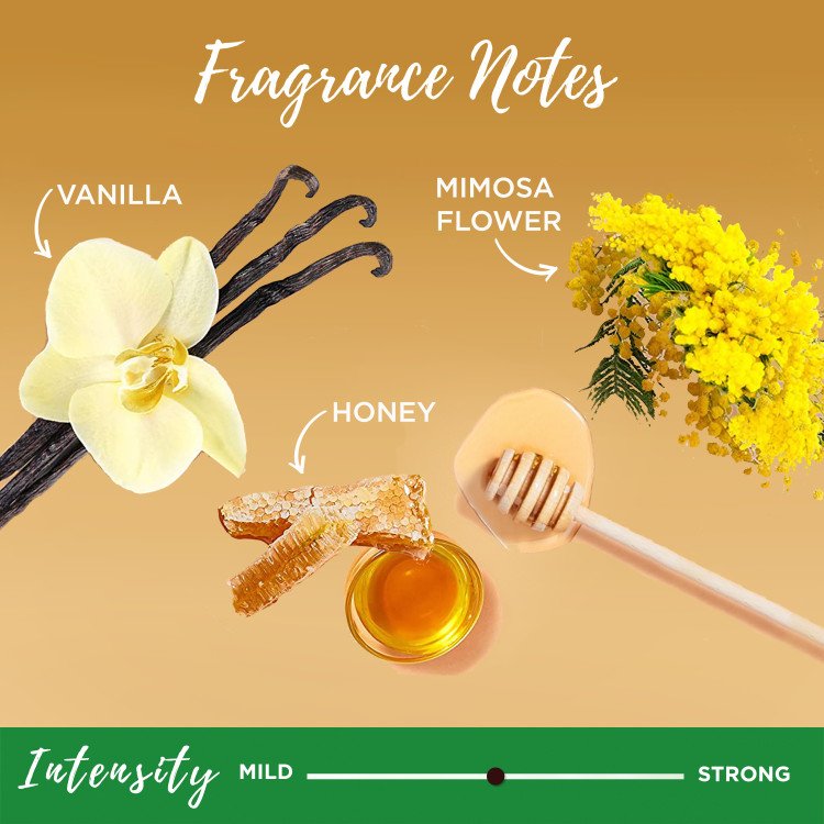 Fragrance notes of vanilla, mimosa flowers, and honey