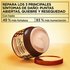 Key benefits of Garnier Whole Blends Honey Treasures hair mask: open jar showcasing creamy texture and clinical claims of up to +49% more hair strength and +83% more moisture for damaged hair.