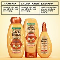 Complete 3-step Garnier Whole Blends Honey Treasures hair care system: 1. Repairing Shampoo, 2. Repairing Conditioner, and 3. Miracle Nectar Leave-In Treatment.