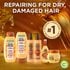 Repairing for dry, damaged hair