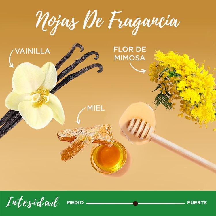 Honey Treasures fragrance notes