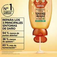 Repairing signs of hair damage with Garnier Whole Blends: graphic showing -94% split ends, -38% breakage, and +83% moisture when using the Honey Treasures shampoo, conditioner, and serum system.