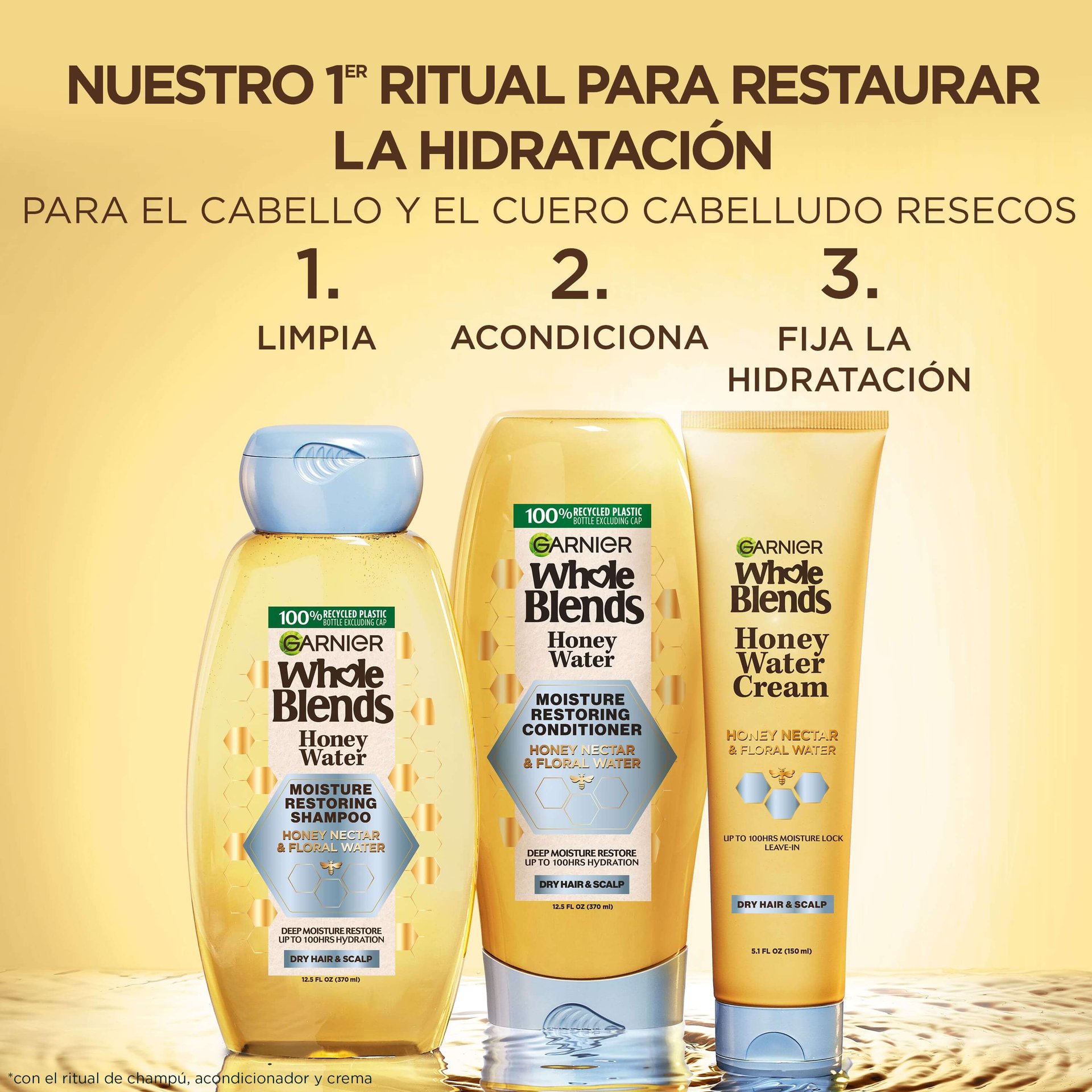 Garnier Hair Care Whole Blends Honey Water