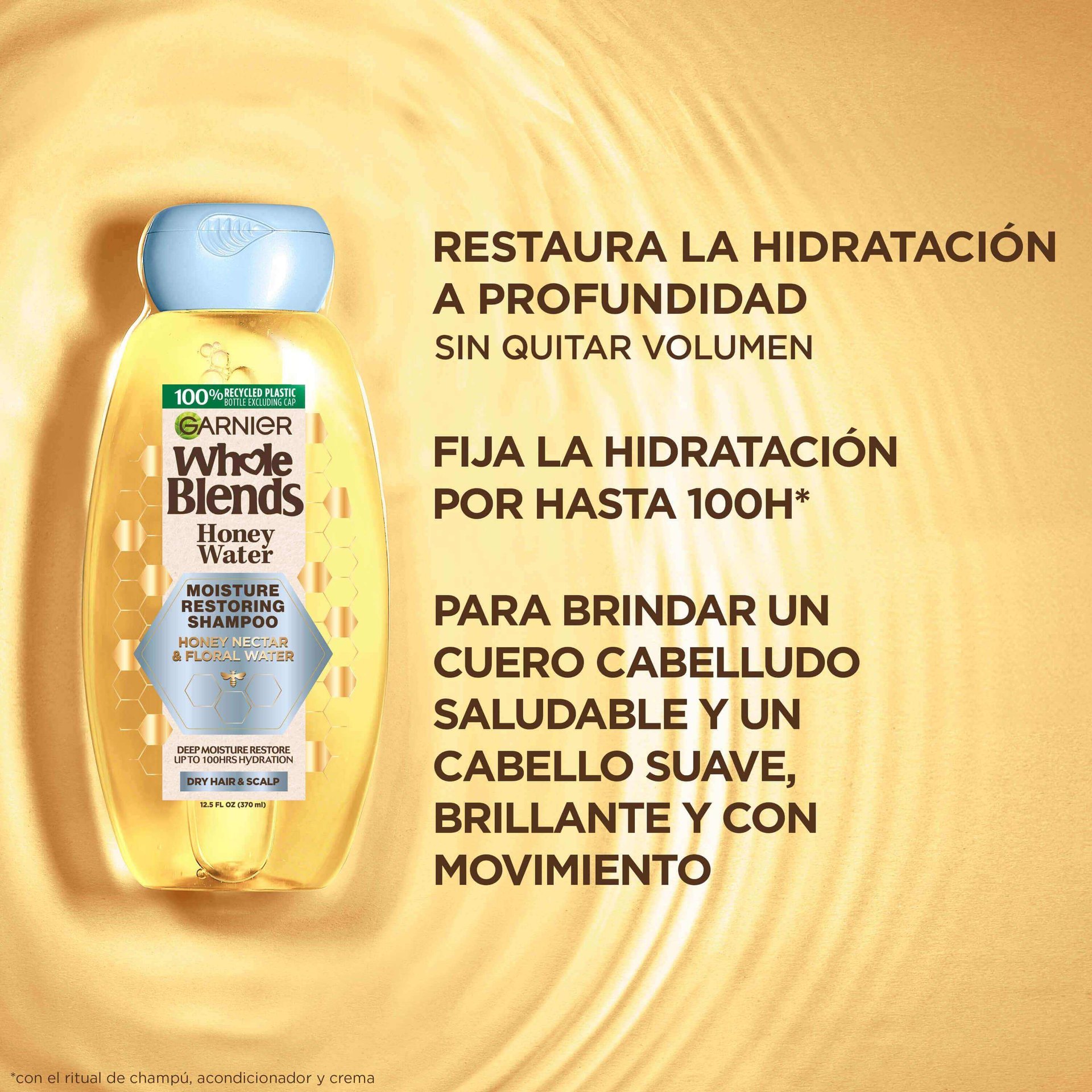 Garnier Hair Care Whole Blends Honey Water