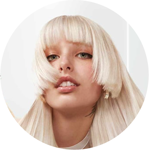 Garnier Fructis Hair Filler Regimen Diagnostic Quiz