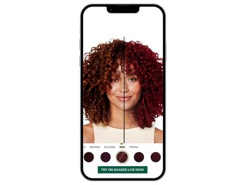 Virtually Try On Hair Shades Instead