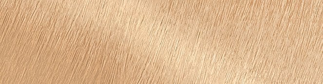 Nutrisse Ultra Color Ultra Light Natural Blonde Hair Color Garnier