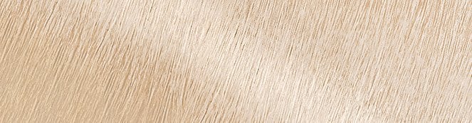 Ultra Color PL2 Swatch