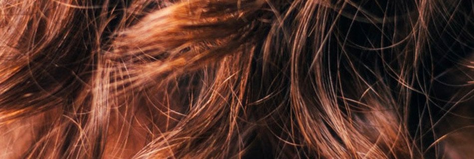 Hair Color Quiz - Compare Hair Color Brand vs Garnier - Garnier