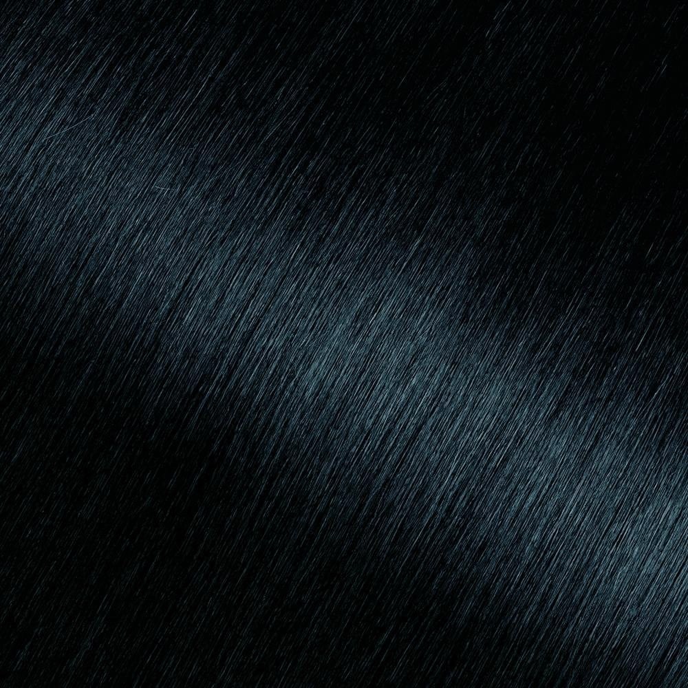 Olia Ammonia-Free Black Sapphire Hair Color | Garnier