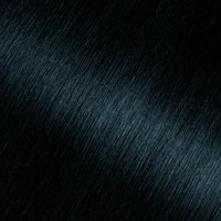 Olia Hair Color 2.10