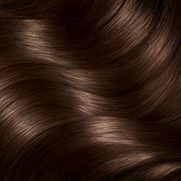 Brown Hair Color - Hair Color Products & Tips - Garnier
