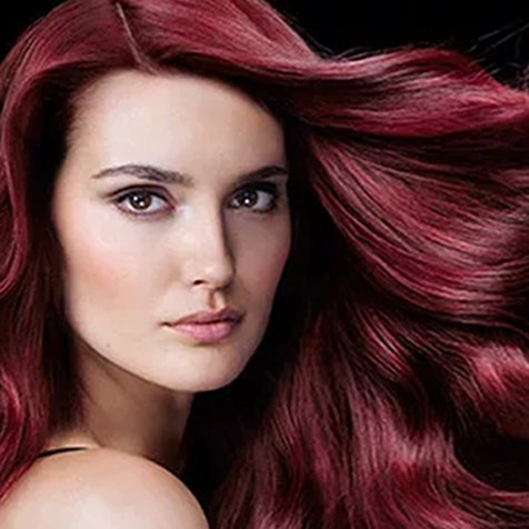 Garnier Olia Hair Color Chart