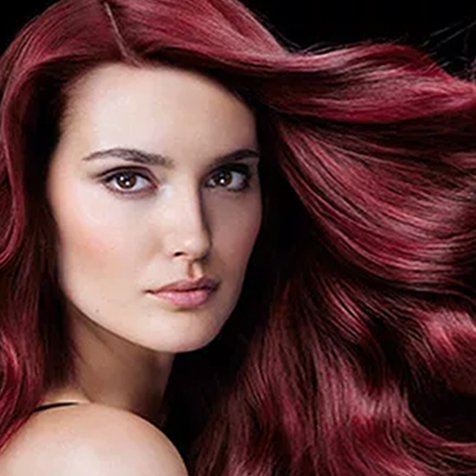 Olia Permanent Ammonia Free Hair Color Garnier