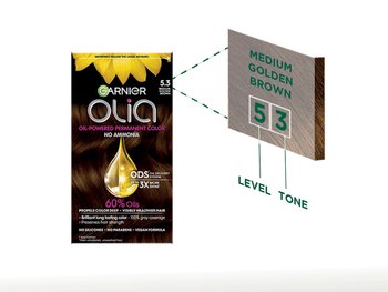 Number shade hair color tone Medium Golden Brown hair color - Garnier