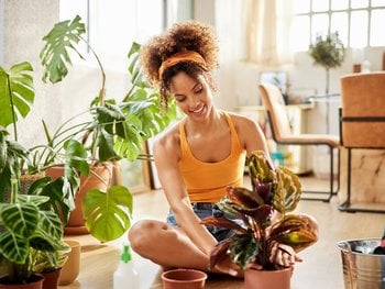 A person with curly hair applies argan oil, focusing on how it helps manage frizz and enhance smoothness.