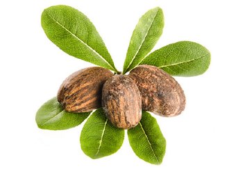 7_11_02a_content_block_v1