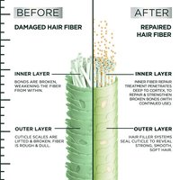 Before/After Hair Fiber transformation