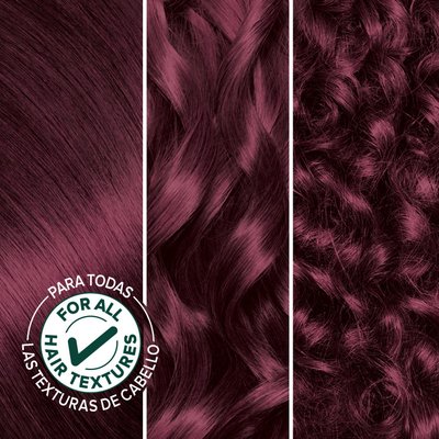Darkest Berry Burgundy Hair Color Better Color Nourishing Color Creme - Garnier