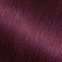 Darkest Berry Burgundy Hair Color Nourishing Color Creme - Garnier