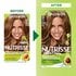 Light Golden Brown Hair Color Before After Nutrisse Nourish Permanent Color Grey coverage - Garnier