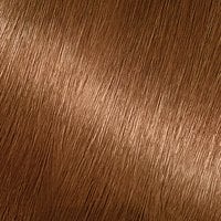 Light Golden Brown Hair Shiny effect - Garnier