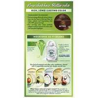 Medium Gold Brown Silicone Free Color Conditioner - Garnier